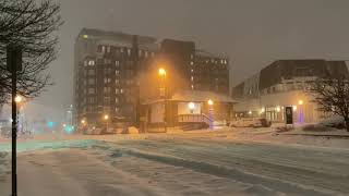 Omaha, NE January 25, 2021 Snow Storm
