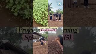 PROJECT BASED LEARNING BAHASA INGGRIS KHUSUS| SPINACH GROUP| KELOMPOK 5