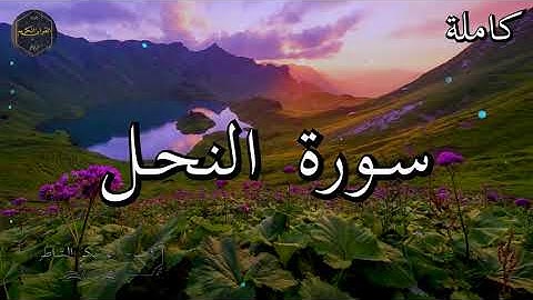 سورة النحل كاملة بصوت جميل جدا الشيخ أبو بكر الشاطري 🌹