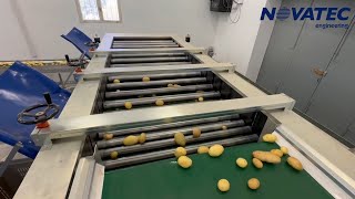 Novatec S.A. - Washing, Brushing, Sorting & Packing Line for Potatoes & Onions