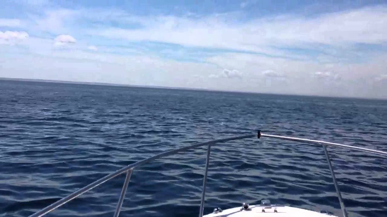 Boat Rides Cape Cod – TOP 10 BEST Boat Tours in Cape Cod, MA – OQWCDG