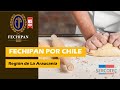 FECHIPAN X CHILE | Región de la Araucanía