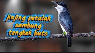 SUSUNAN MATERI ISIAN CUCAK IJO