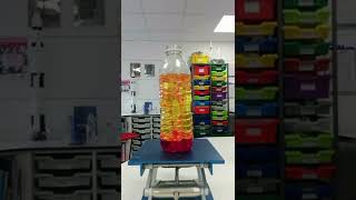 STEMtastic Reactions