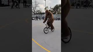 You spin me round #newschoolbmx #flatlandbmx #freestylebmx #bigfoot #bigfootshorts