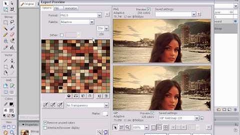 Lesson: "save png8" - in Macromedia FireWorks 7 MX2004 (avi)
