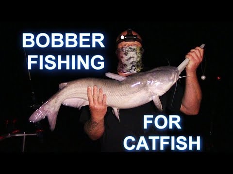 Bobber Fishing For Post Spawn Catfish/Muddy River Catfishing Bobber Rig 