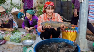 Download Lagu Single mother happy to catch giant fish in stream to bring to market to sell  - Tieu Ha Single Mom MP3