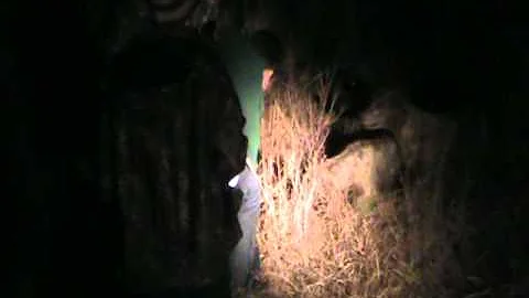 Okeechobee Hog Hunting with Dogs