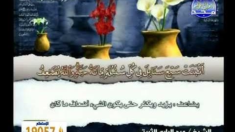 سورة البقرة 253 الى 271 ــ عبدالبارى الثبيتى