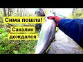 Пошла сима! Сахалин дождался // The cherry salmon has arrived! Sakhalin was waiting (Eng Subs)