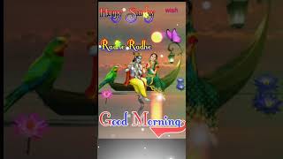 Celebrity Happy Sunday Good Morning Status || good morning video #goodmorning #happysunday #shorts Wealth