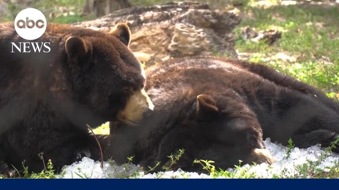 Scorching heat continues across parts of the US