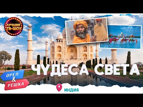 МЕТРОВЫЙ КОСТЕР ИЗ КОРОВЬЕГО НАВОЗА, СИМВОЛ ВЕЧНОЙ ЛЮБВИ ТАДЖ МАХАЛ | ОРЕЛ И РЕШКА | ЛУЧШИЕ ТВ-ШОУ