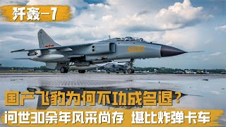 我国传奇飞豹有多强？问世30余年风采依旧，为何不功成名退