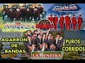 Agarron de Bandas - Puros Corridos (POBREZA/MENTIRA/LA CUMBRE)