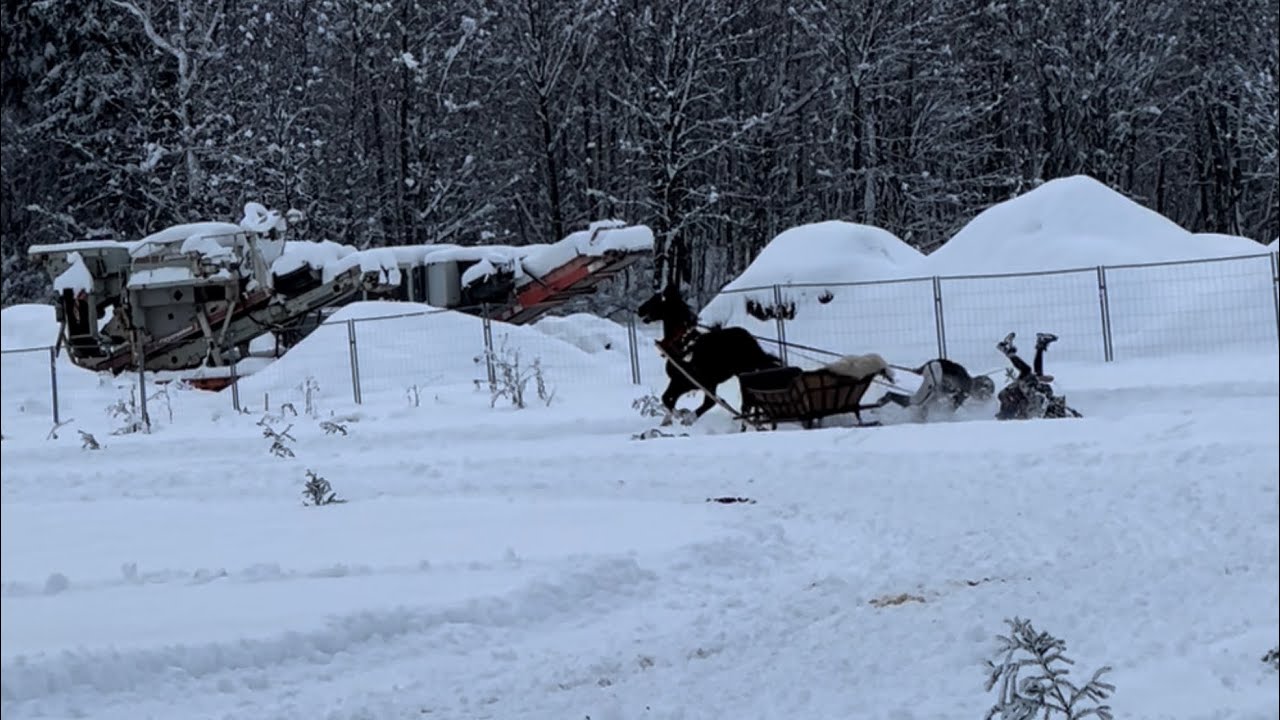 Kumoterki Biały Dunajec 2023 Góralskie enduro #fun #hobby #horse #enduro