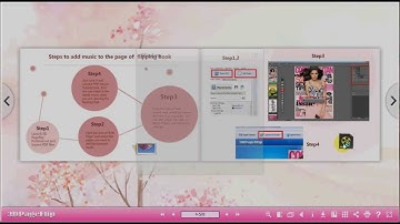 Insert Bitmap Button on Page Flip Book by 3D PageFlip Professional