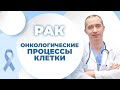 Рак. Чего стоит бояться? Онкологические процессы клетки