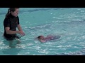 June Swimming 2012 Mp3 Song
