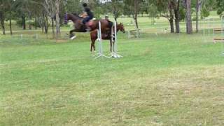 Me & Rumbo - Jumping 90cm - 1m