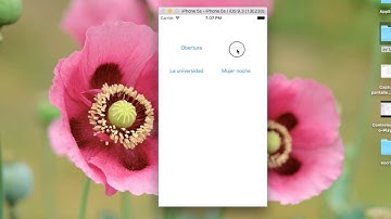 4 Botones, Slider-controlador de audio-Swift