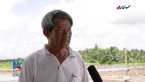 MÔ HÌNH NUÔI CÁ RÔ PHI HIỆU QUẢ TỪ LIÊN KẾT CHUỖI - TIN TỨC MEKONG