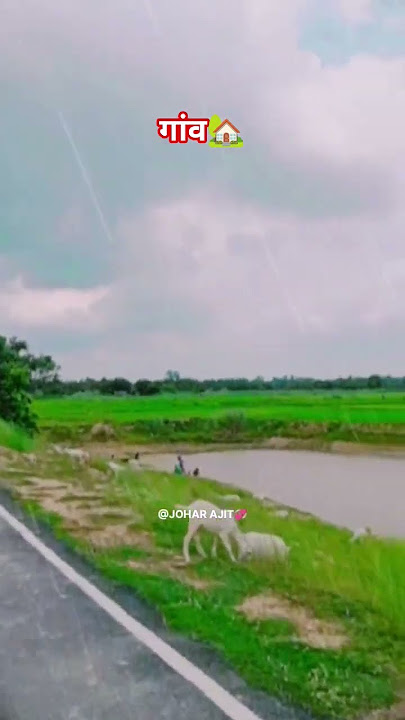 Nazare💞 गांव की #trendingreels    #shortsfeed #shorts #viralshort