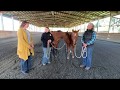 Renee and Angel on The Limelight Pet Project