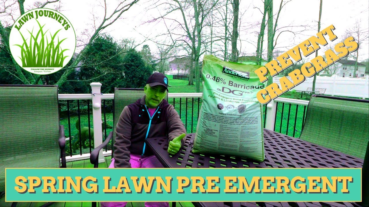 Spring Lawn Pre Emergent for Crabgrass Prevention YouTube