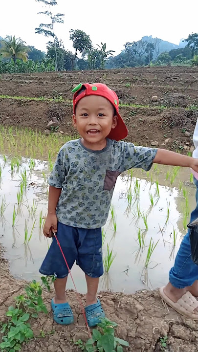 Ujian Ketegangan: Panik Saat Bertemu Ular di Sawah!