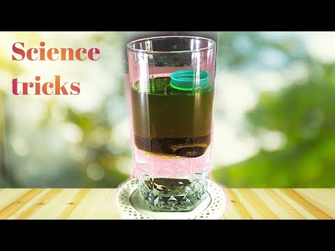 Science Experiment with Water, Kerosene and Mustard oil//Different object/Density experiment/At home
