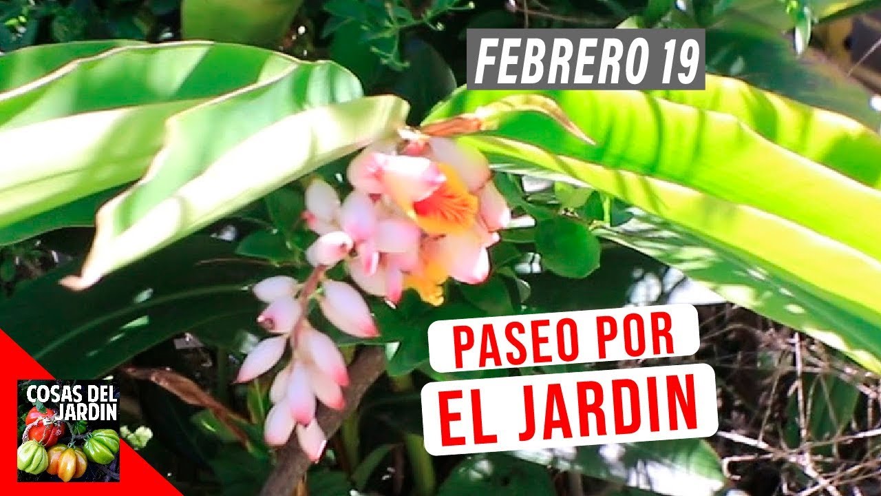 PASEO POR EL JARDIN | FEBRERO 2019
