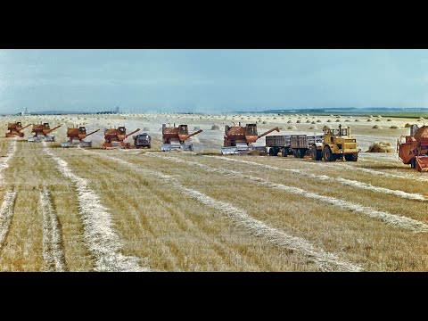 Видео: Farming Simulator 22. Совхоз им. М.И. Калинина на карте Калиновка. Стрим №16.