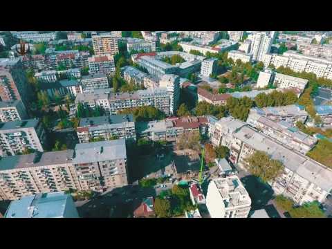 ბინადარი binadari