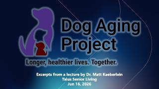 Optimizing Dog Health Through Longevity Science