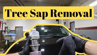 How To Remove Tree Sap From Car Before It Ruins Your Paint