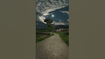 سورة الأنبياء بصوت المنشاوي