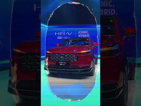 Iconic Hybrid -