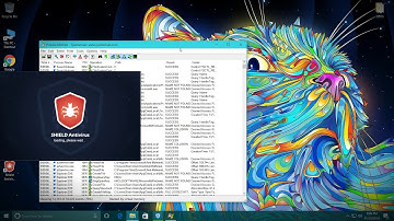 Emsisoft Anti-Malware Demonstration | A-V Test #34