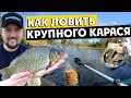 КРУПНЫЙ КАРАСЬ на ФИДЕР. Самые дикие места для рыбалки. Готовим на природе много мяса.