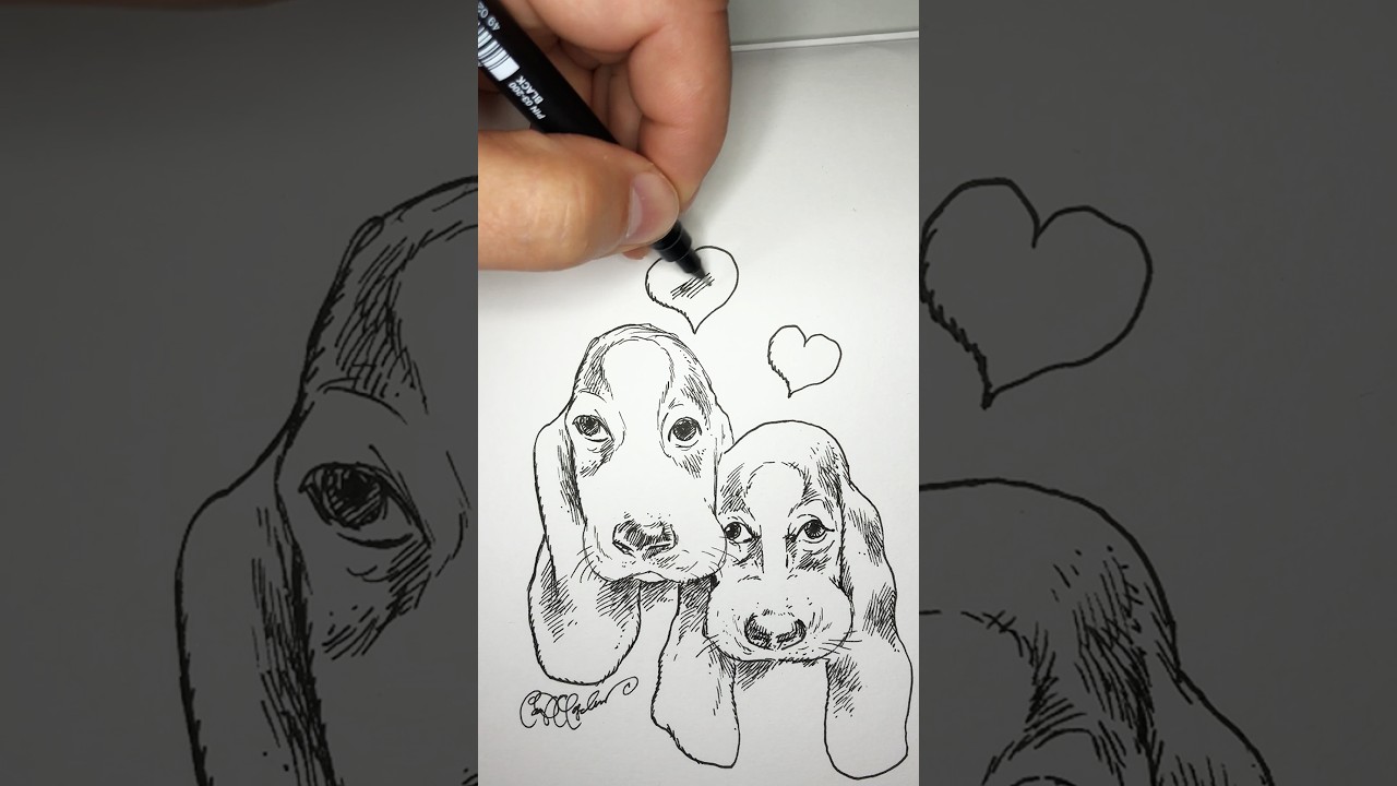Drawing Two Puppies — Just a Fineliner and Paper