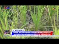 Kamara, tiniyak na kasama sa panukalang national budget ang pondo para mapagaan ang epekto ng...