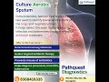 Culture Aerobic Sputum Test | Detect Lung &amp; Respiratory Infections | Pathquest Diagnostics #lungs