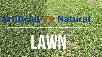 Natural lawn vs Artificial lawn the PROS & CONS by Ian Wilson Landscape Designer