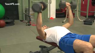 Weight Training Workout - Dumbbell Chest Press @r2fteachpe