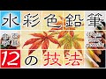 【水彩色鉛筆の塗り方１】塗り絵やイラストにも使える12の技法を塗りながらやさしく紹介/how to color Watercolor pencil drawing