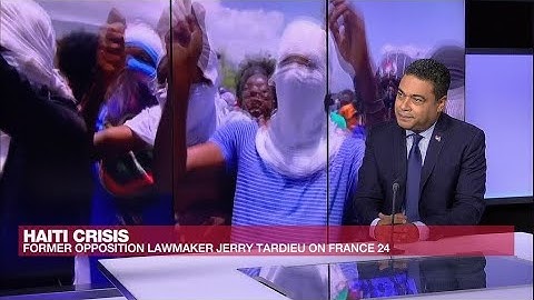 'Gangs control most of capital Port-au-Prince,' warns ex-Haitian MP Jerry Tardieu • FRANCE 24