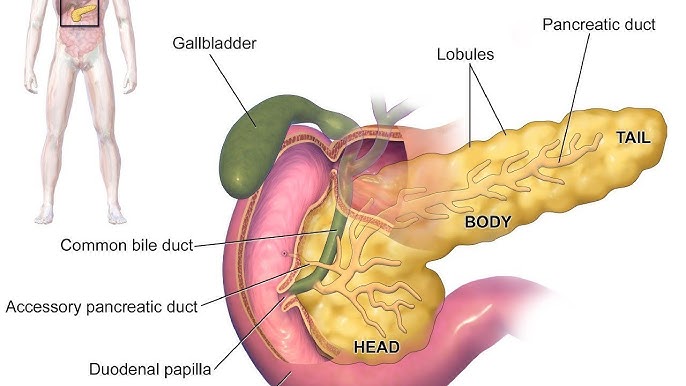 Mushuk ichidagi sikning videosi Porno otirganda orgazm