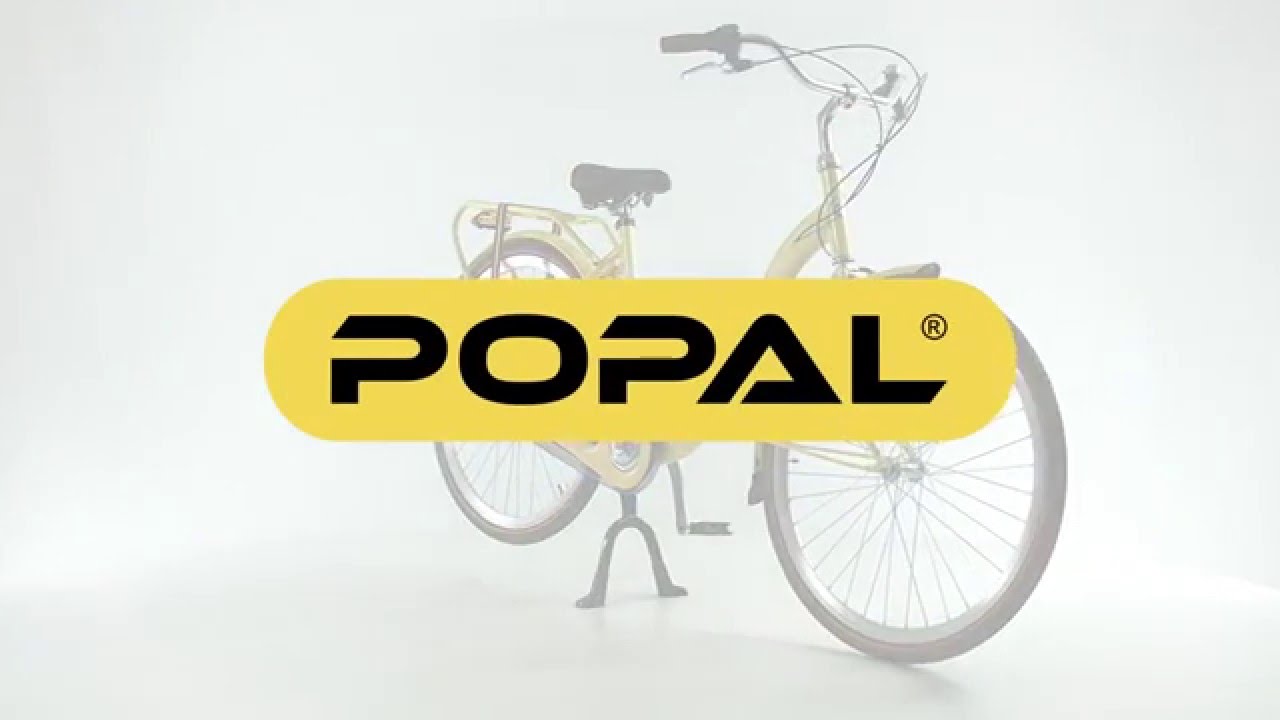 Popal Aleece Moederfiets 28 inch | Transportfietsnederland Rotterdam